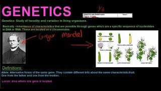 Gr 12 Life Sciences Genetics and Inheritance Part 1