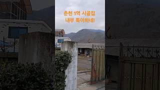 춘천 1억 시골집 내부 특이하네! 재미있는 shorts 옛날집 여행 부동산 빈집 한옥 멋진산 오지마을 전원주택 골동품