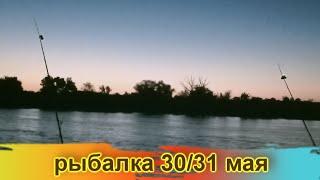 Рыбалка 30- 31 мая / очень сильное течение /несет пух / рыбалка удалась/ Маяки /Днестр