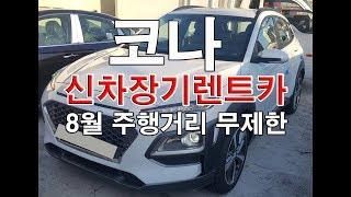 코나 신차장기렌트카 8월 주행거리 무제한조건(반납시유리)