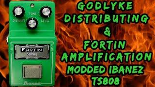 @GodlykeInc @FortinAmps @IbanezOfficial TS808 Demo