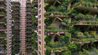 Plant-covered Chinese apartment buildings