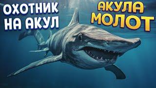 АКУЛА МОЛОТ ОХОТНИК НА АКУЛ ( Feed and Grow: Fish )