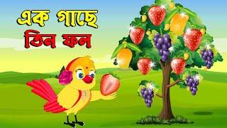 এক গাছে তিন ফল। Bangla cartoon tunir golpo | Bangla cartoon | karton