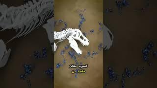 هل تعلم؟ |متع عقلك بالمعلومات |معلومات عامة مفيدة |معلومات صادمة عن الحيوانات 