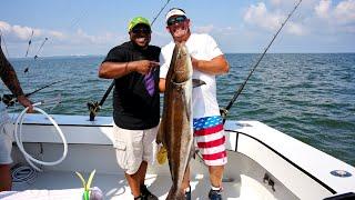 The time we caught a $37,000 Cobia