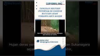 Tangis Histeris Peternak di Cianjur Kehilangan Ratusan Ayam Terbawa Banjir #shorts