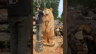 Wild Chainsaw man carving a bear #chainsawart #wood #carving #chainsawcarving #spirit #woodcarvings