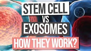 Stem Cells vs Exosomes - Which Are Better?