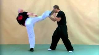#whkd #roundkick Basic Roundhouse Kick- Wun Hop Kuen Do - Kajukenbo mit Sifu Christian Wulf