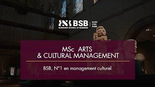 MSc Arts & Cultural Management - Présentation du Programme