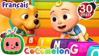 Il s'appelait Bingo! | CoComelon en Français | Chansons pour bébés