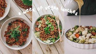 a week of nourishing vegan lunch recipes (that are also very delicious) 