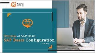 SAP BASIS Online Training | Introduction to SAP System Administration (Basis) - Kasha Training