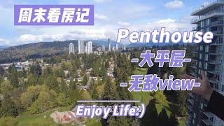 周末看房记-Penthouse大平层