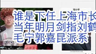 外交部毛宁和郭嘉昆的派系背景揭秘。上海市长龚正的秘书当年明月石悦装疯住进宛平南路600号。是上海市长争夺战，还是拿下刘鹤的前兆？