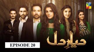 Diyar e Dil Episode 20 HUM TV Drama