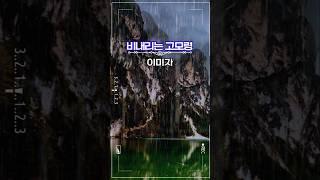 이미자 #비내리는 고모령 #옛날노래 #트롯트인기가요 #대중가요