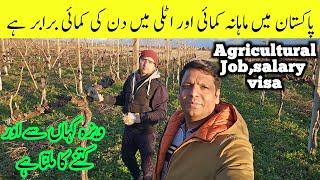 Agricultural Job,salary, and visa process in italy | Seasonal work visa jobs in italy