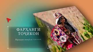 ТВ Сафина