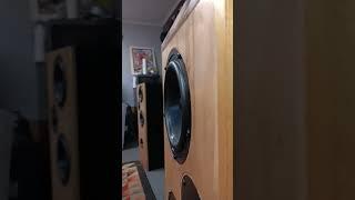 Jazz Sabbath  #boston #warh #bass #custom #music #nuclearwarheads #diy #bass #audiophile #speaker