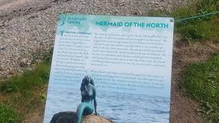 mermaid of the north