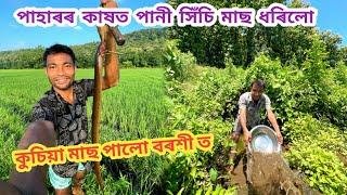 পাহাৰৰ কাষত পানী সিঁচি মাছ ধৰিলো !! কুচিয়া মাছ ধৰিলো বৰশী ত !!