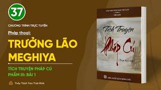 Pháp thoại: "Trưởng lão Meghiya" | Tích truyện Pháp Cú (Phẩm III: Bài 1)