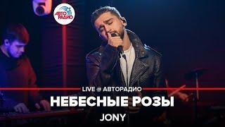 Jony - Небесные Розы (LIVE @ Авторадио, презентация альбома "Небесные розы")