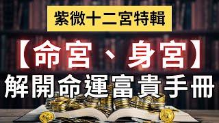 紫微十二宮之【命宮、身宮】解開命運富貴手冊！麥可大叔30年紫微斗數算命命理老師