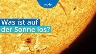 Sonnenflecken und Polarlichter: Was ist auf der Sonne los? | MDR Wissen | MDR+