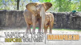 The Beginner's Guide to the Indianapolis Zoo