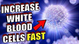 How To Increase Your White Blood Cell Fast