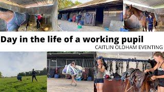 A day in the life of a working pupil for Harry Meade || Caitlin Oldham Eventing