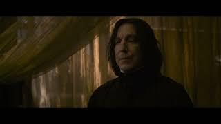 Snape is The Worst Owl Ever - 4K Scene