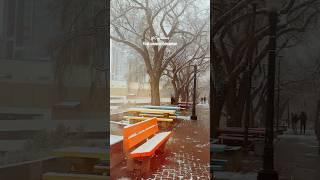 First snow in Edmonton 2024  | #snow #edmonton #alberta #winter #canzraze