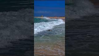 ️ Waves in Fuerteventura 