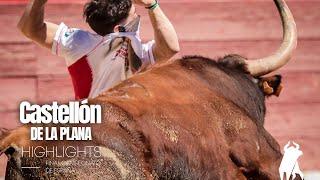  Details of the final of the Spanish Trimming Championship in Castellón