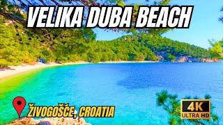 VELIKA DUBA BEACH - ŽIVOGOŠĆE, CROATIA (BEACH WALK)