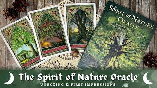 A meeting with the Green Man | The Spirit of Nature Oracle | Unboxing & First impressions