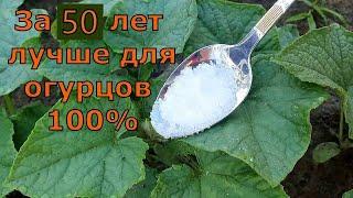 1 ложка в Июле и огурцы, томаты, перцы обильно заплоданосят