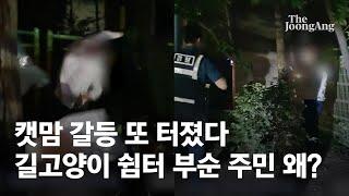 “길고양이가 차량 훼손” “제재 수단 없어”…고양이 쉼터 부순 남성 입건 둘러싼 ‘캣맘 갈등’