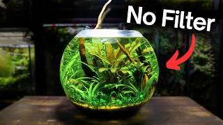 Creating an Underwater Ecosystem Inside a Glass Bowl!