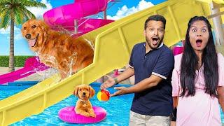 We Made Biggest Water Park For Our DOG!!!