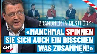 Brandner sprengt die Phoenix-Runde: „Manchmal spinnen Sie sich auch ein bisschen was zusammen“