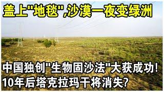 盖上“地毯”，沙漠一夜變綠洲！中國獨創“生物結皮固沙法”大獲成功！10年後塔克拉瑪干沙漠將消失？