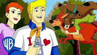 Scooby-Doo! | Mystery Inc International | WB Kids