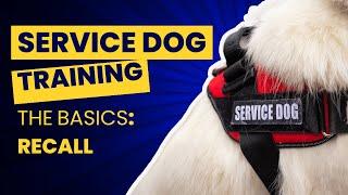 Service Dog Training Basics - Recalls