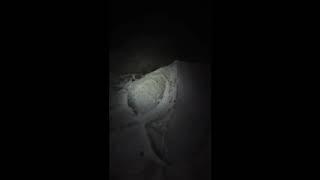 Nocne wejście na Śnieżkę 30.11.2019