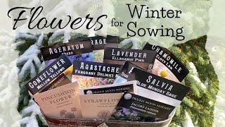 Flower Seeds I’m Winter Sowing in 2023